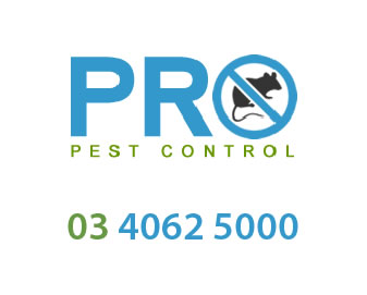 Learn About Pro Pest Control Melbourne