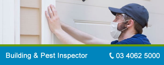 Building and Pest Inspectors Melbourne