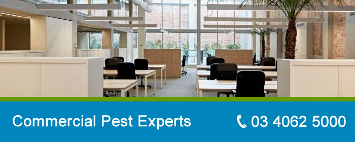 Commercial Pest Control For Your Business