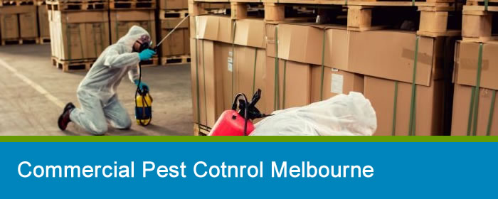 Commercial Pest Control Melbourne