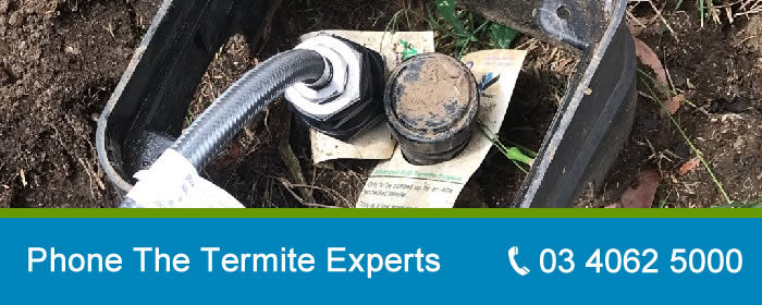 Call Termite Barrier Expert 