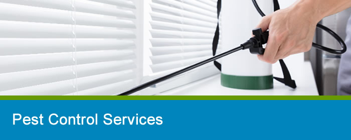 Pest Control Services Melbourne