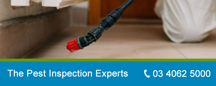 The Melbourne Pest Inspection Experts