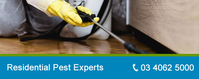 Residential Pest Control Experts
