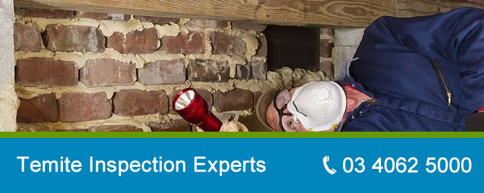 Termite Inspection Melbourne