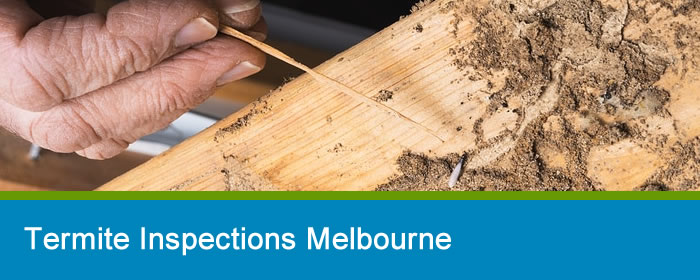 Termite Inspections Melbourne