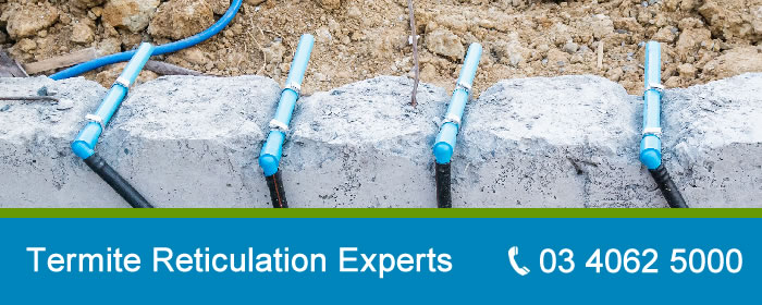 Termite Reticulation Systems Melbourne