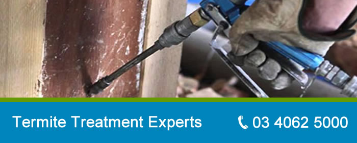 Termite Treatment Melbourne