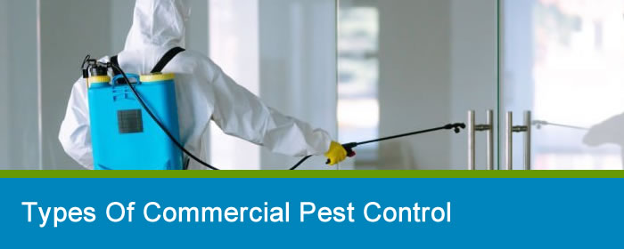 Types of Commercial Pest Control