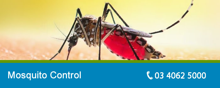 Mosquito Control Melbourne
