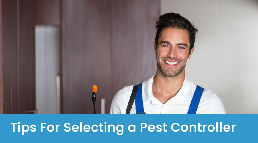 Tips For Selecting a Pest Control Company Tips For Selecting a Pest Control Company